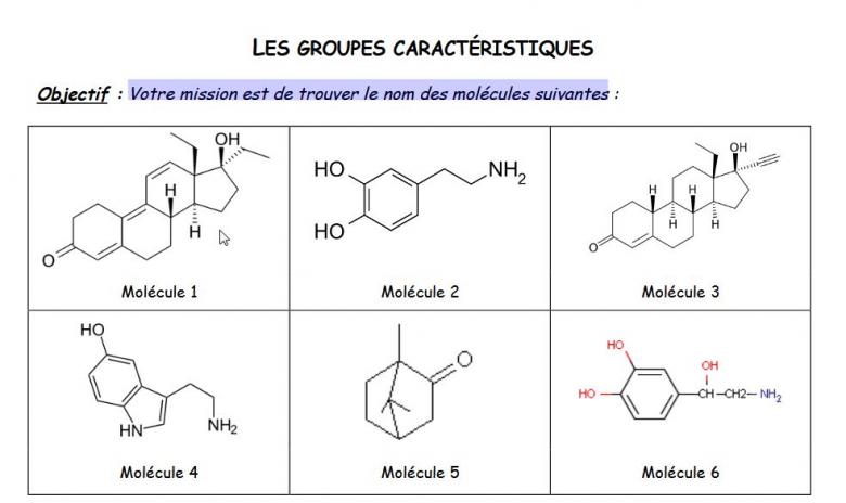 identification molecule 