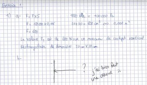 Exercice sur la voltige arienne