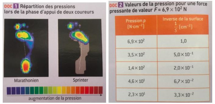 DM Force Pressante Et Pression Forum Physique Chimie Seconde 