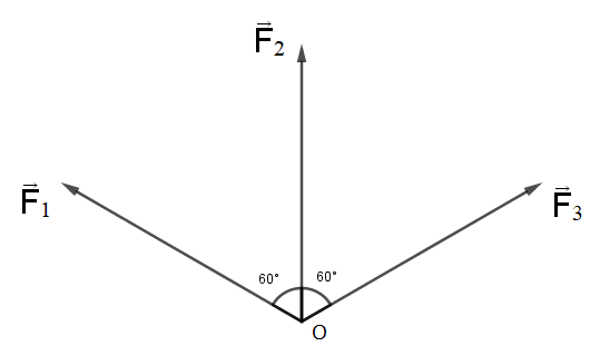  dterminer la direction et l\'intensit de la force F 