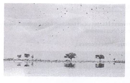 Exercice mirage