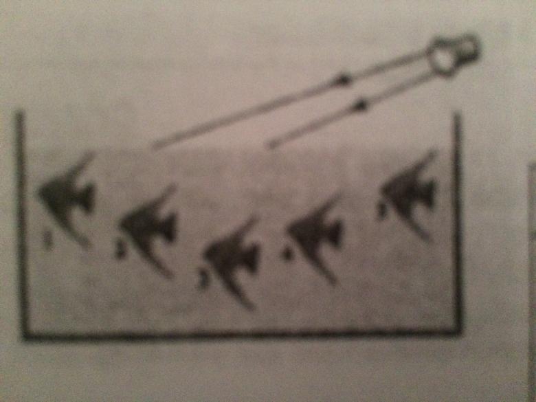 la rfraction 