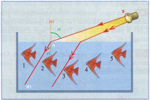 la rfraction 