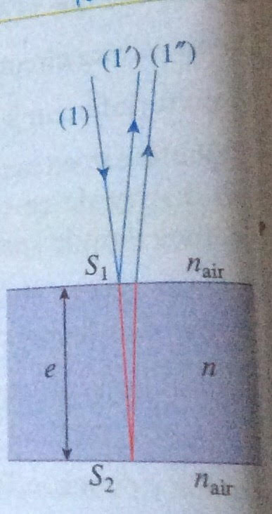 couleur des ailes de diptres