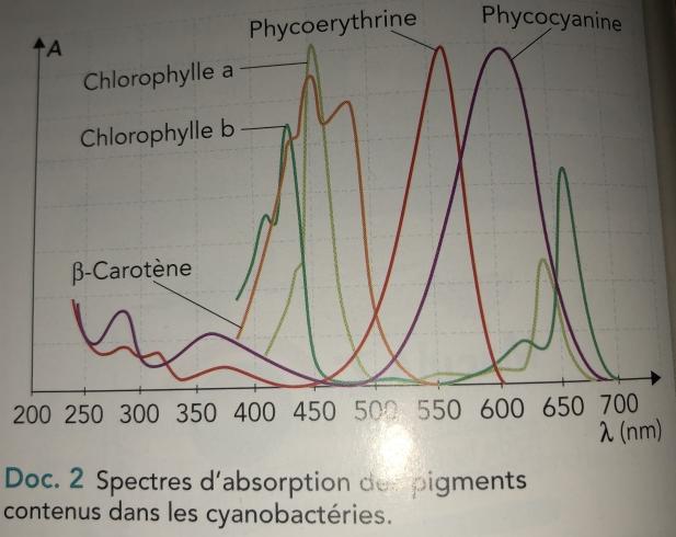 DM phycocyanine et phycoerythrine