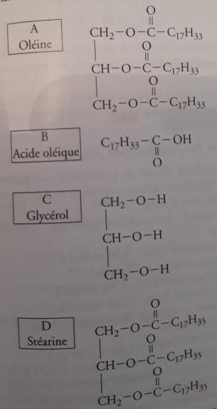 Exercice type BAC TST2S