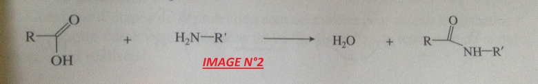 Slectivit en chimie organique