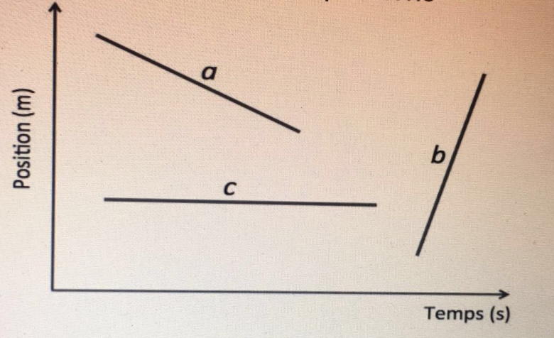 analyse graphe : x(t) 