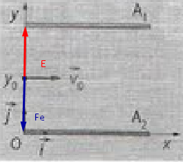 Loi de Newton