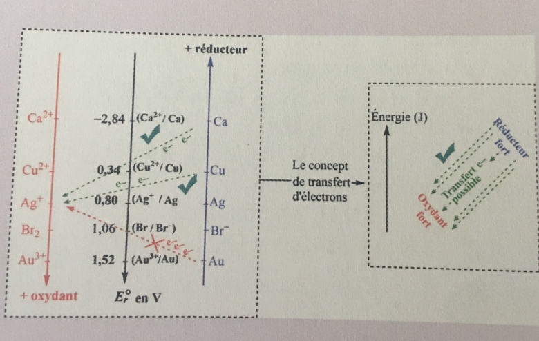 couples rdox + potentiel standard de rduction