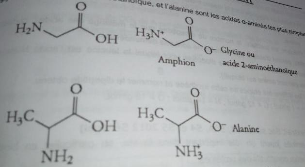 Acide α amins 