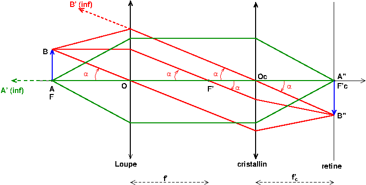 Optique