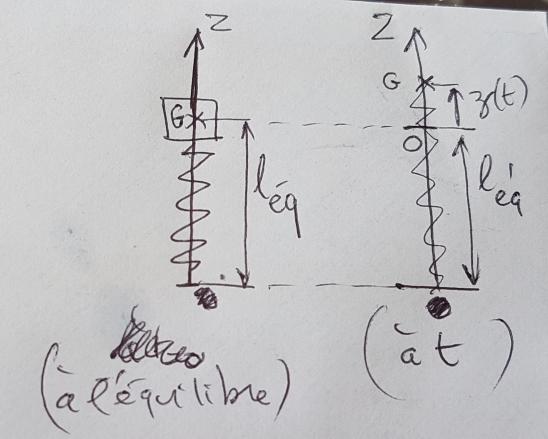 Ressort et oscillateur harmonique 