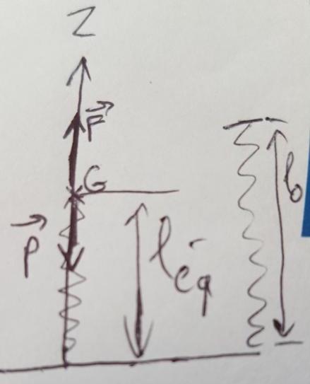 Ressort et oscillateur harmonique 