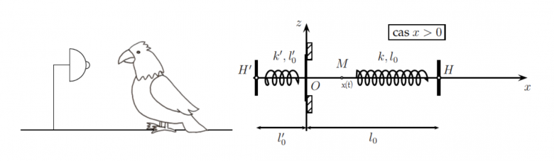 oscillateur harmonique (jouet)