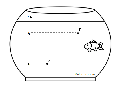 La loi fondamentale de la statique des fluides