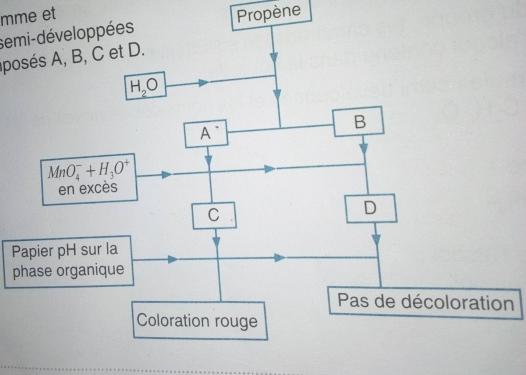 alcoolique