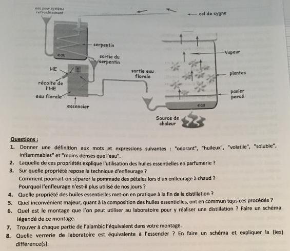 Extraction huiles essentielles en parfumerie 