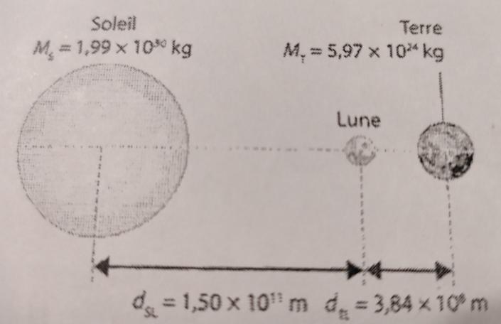Champ de gravitation