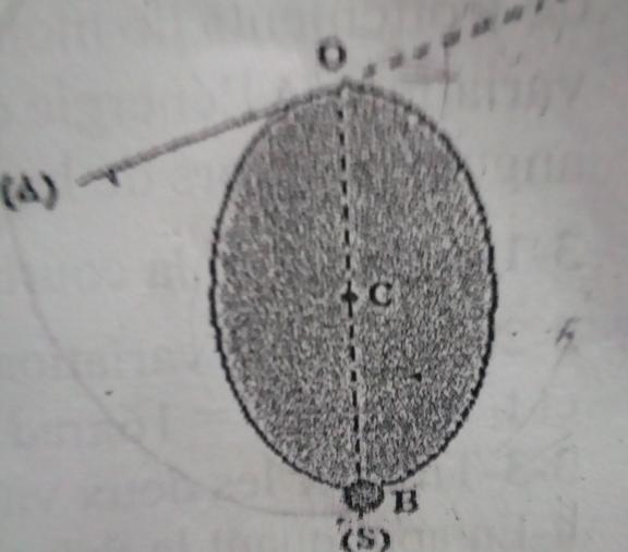 nergie cintique
