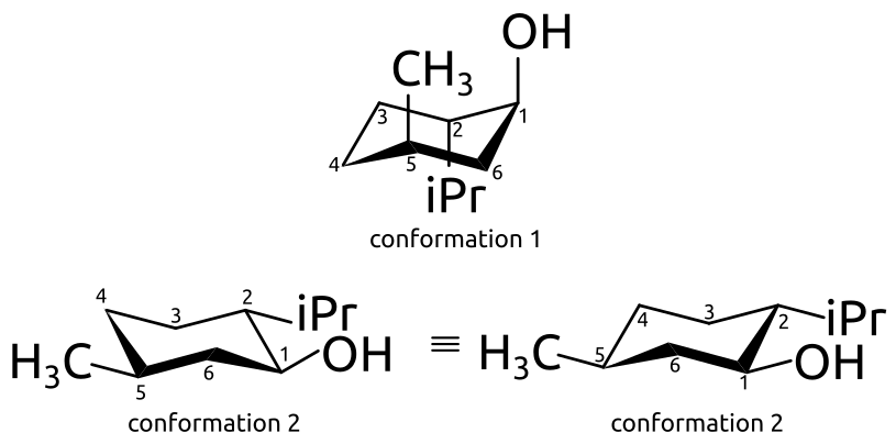 Conformation chaise