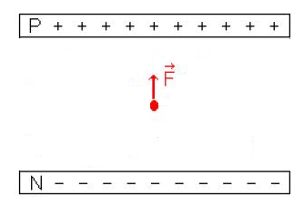 Etudier la force lectrique et l\'accleration