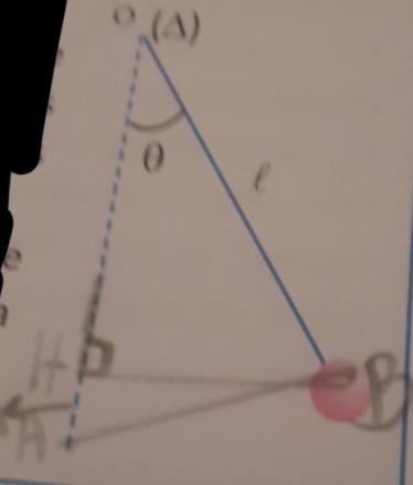 nergie potentielle de pesanteur et nergie cintique