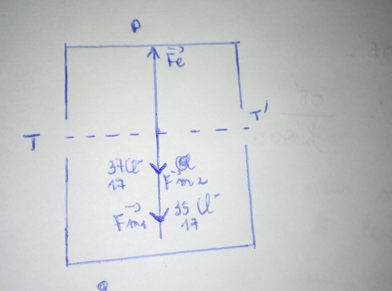 Chambre d\'ionisation 