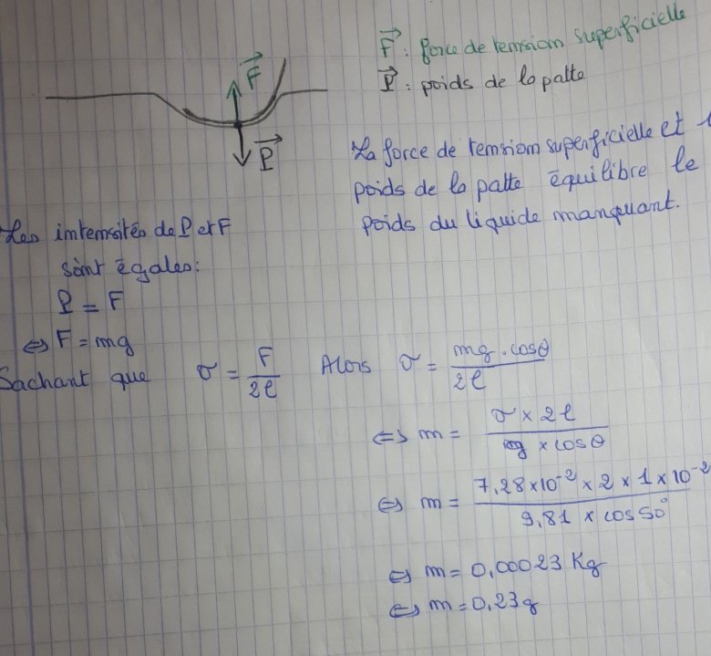 La masse d\'un insecte sur l\'eau
