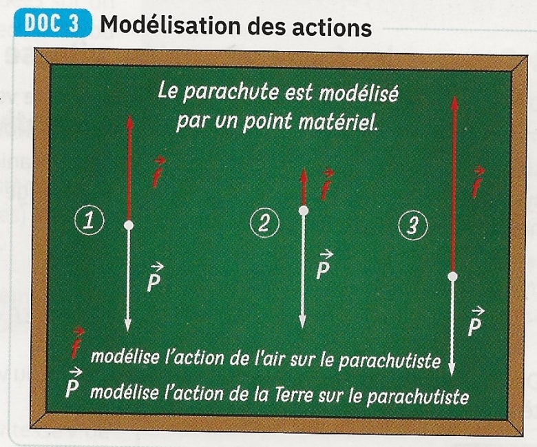 Les phases d\'un saut en parachute