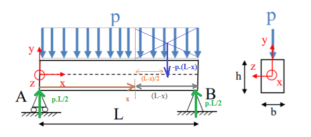 RDM - Flexion