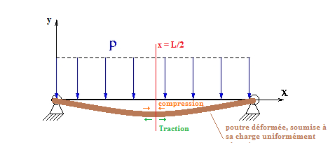 RDM - Flexion