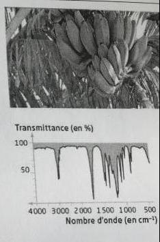Physique : transmittance - longueur d\'onde