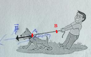 Force, modlisation, interaction 