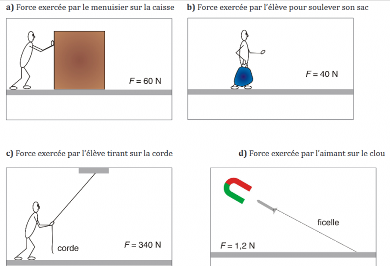 Force, modlisation, interaction 