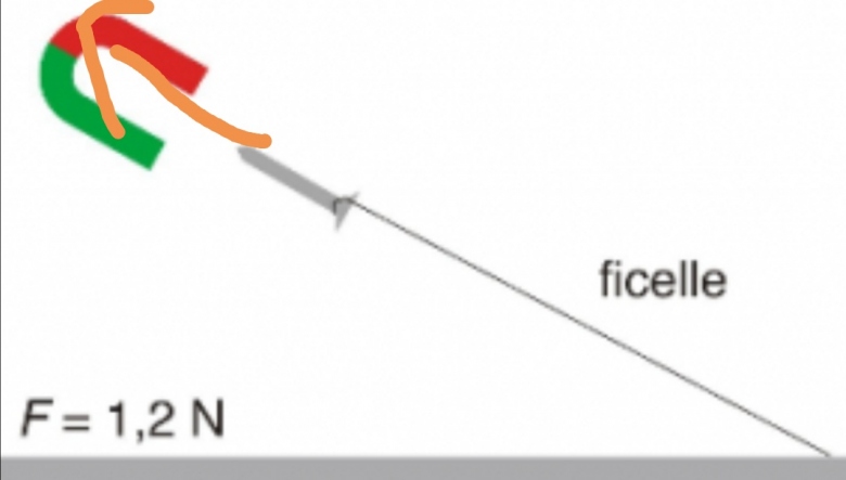 Force, modlisation, interaction 