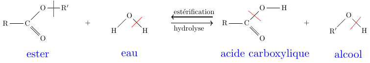 Hydrolyse d\'un compos organique