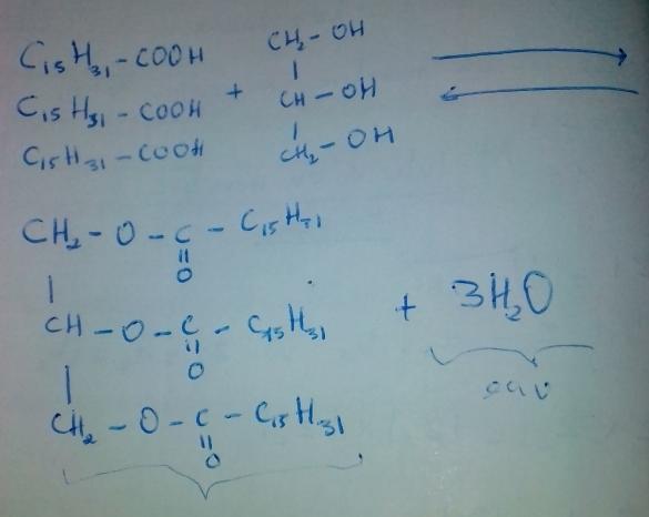Saponification