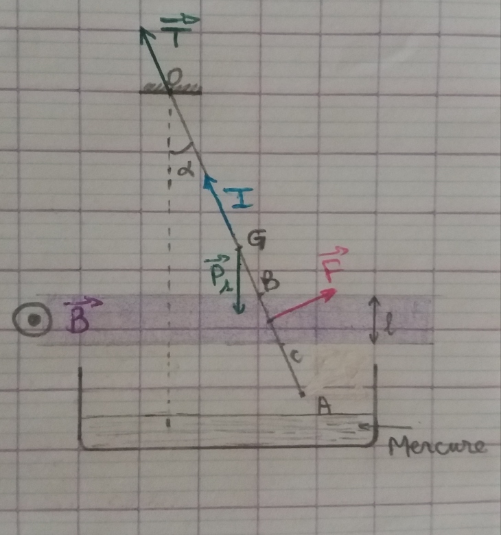 La force lectromagntique