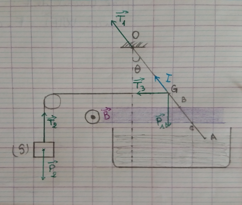 La force lectromagntique