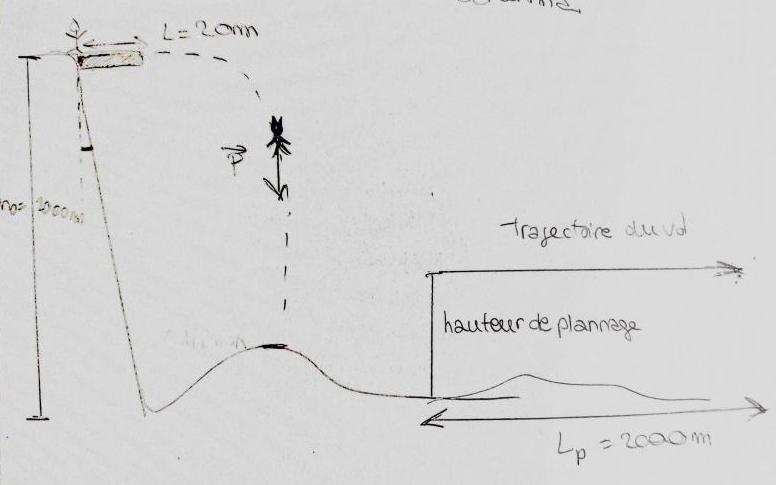 Batman et la chute libre