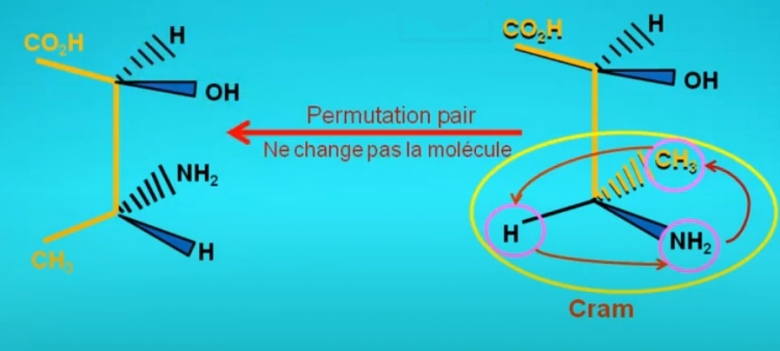 Molcule Cram : Rotation et Permutation pair