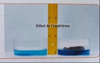 Enseignement Scientifique : modlisation analogique