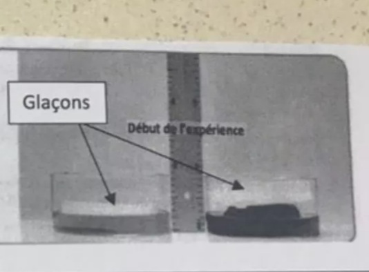 Enseignement Scientifique : modlisation analogique