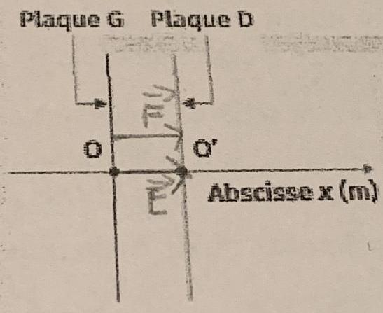 Topographie