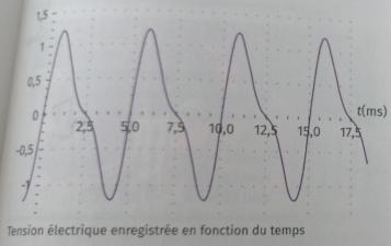 Exercice de base sur le son 