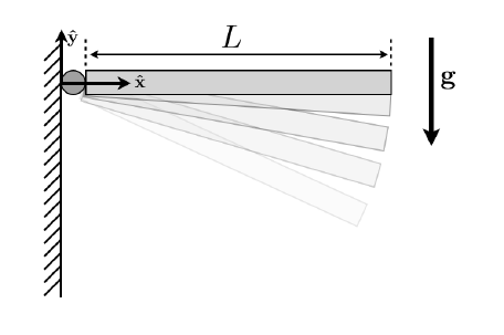Barre, rotule et force vectorielle lors du lach