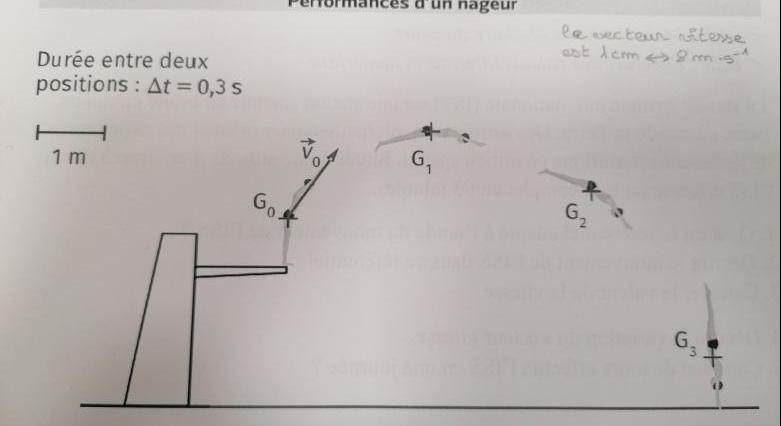 Performance d\'un nageur en physique chimie 