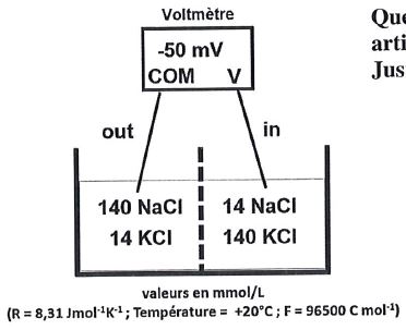 Equation de Nernst