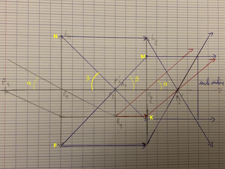 Cercle oculaire 